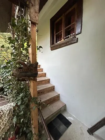 U Janka * Krynica Zdroj